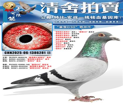 ����ѩ�������ض���ֱ�������ѩ030��ֱ��Ů ����ѩ��������