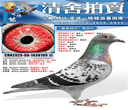 ����ѻ��ض�������ֱ������»��ض���ֱ��Ů ����ѻ��ض�����