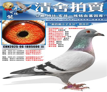 �����˹����913�š���������鵴����487�š� ������С