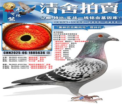 ��ī�ƶ��ɡ��������������ƥ��쫷�š����� ������ƥ��쫷��