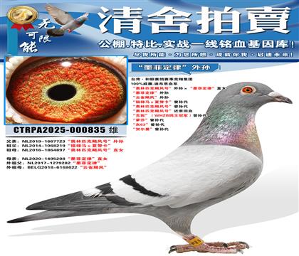 ������ƥ��쫷�š��������ī�ƶ��ɡ�ֱŮ ��ī�ƶ��ɡ�����