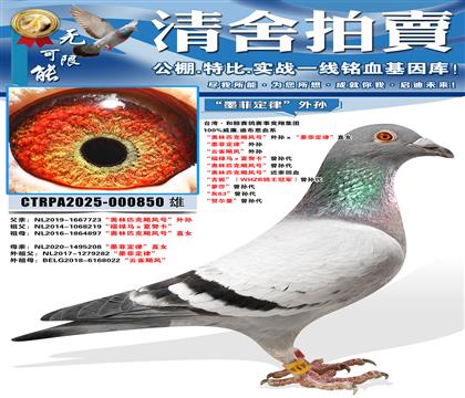 ������ƥ��쫷�š��������ī�ƶ��ɡ�ֱŮ ��ī�ƶ��ɡ�����