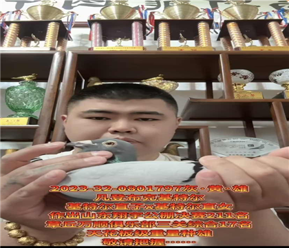 �ƹ������ѡ�����ǲ��ˡ����ض���ֱ��X�����ض���ֱŮ