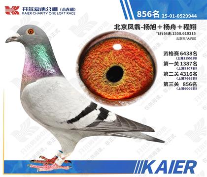 26�꿪��С�������856�����ƣ�