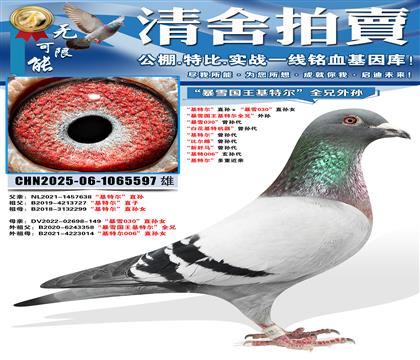 �����ض���ֱ�������ѩ030��ֱ��Ů ����ѩ�������ض���ȫ��
