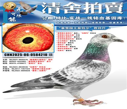 ����ѩ�������ض���ֱ��������޺š�����Ů �������С��ȫ�ֵ�