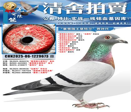 ����ѩ�������ض���ֱ��������޺š�����Ů �������С��ȫ�ֵ�