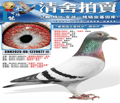����ѩ�������ض���ֱ��������޺š�����Ů �������С��ȫ�ֵ�
