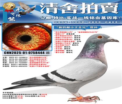 �����˹����913�š���������鵴����487�š� ������С��