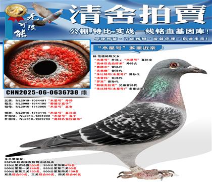 ��ľ�Ǻš��������ľ�Ǻš�ֱ��Ů ������ƥ����ŵ�ס�����Ů