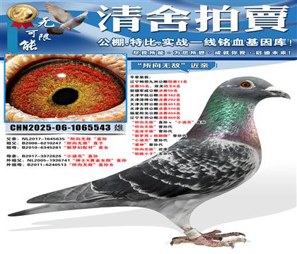 �������޵С�ֱ�����С�Ͽˡ�ֱ�� �������޵С������ ������