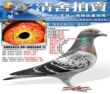 ��ī�ƶ��ɡ��������������ƥ��쫷�š����� ������ƥ��쫷��