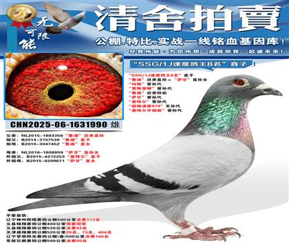 ��SSG/1J�ٶȸ���8����ֱ�� ��³�ϡ�����ֱ��������ʡ�