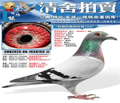 ������鵽�ķ120��ֱ�ӡ�����ʱ��911����Ѫ ����鵽�ķ֮