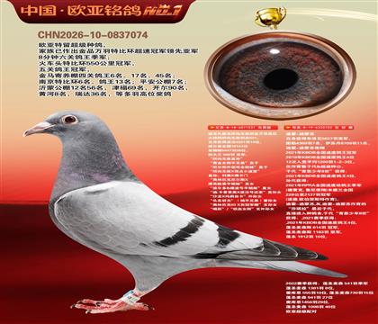 �Ͽ˷����������޵л�Ѫ531X�ϻ�������703
