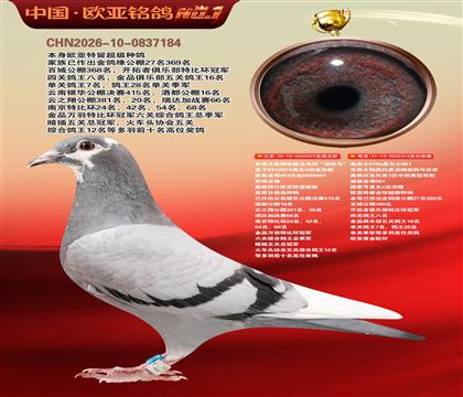 �����������Ը����������ֺš�447X314�ƽ����