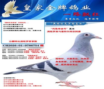 涡轮奇迹