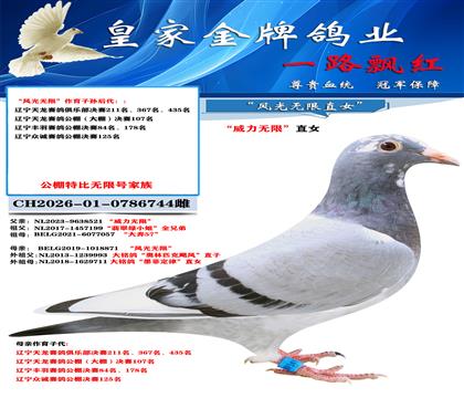 无限744