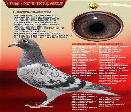 NPOȫ�����Ǿ�515X����KBDB����17ֱŮ872