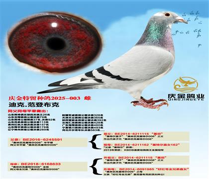 ������ƥ�˻��ض�006����ƽ��x������ƥ��006ȫ�á�