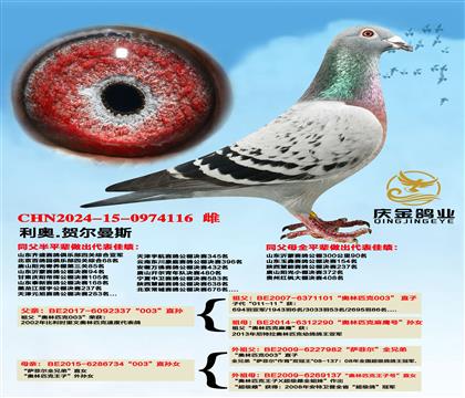 ����.�ն���˹��003��ֱ��x��003��ֱ��Ů