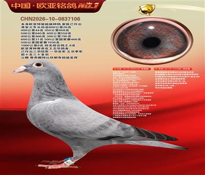 ղɭ�������Ĺڸ�������124X919ֱŮ080