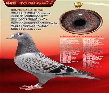 NPOȫ�����Ǿ�515X����KBDB����17ֱŮ872