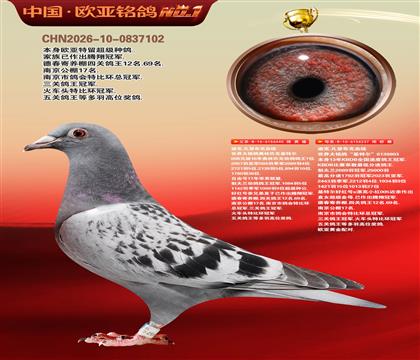 �Ͽ�.���ǲ���440X���ض�237�ƽ����