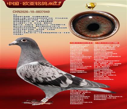 NPOȫ�����Ǿ�515X����KBDB����17ֱŮ872