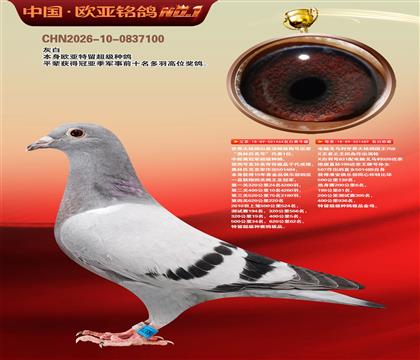 ɣ��ʿ�ǹ���464X����489��ĸ