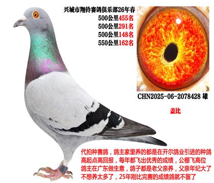 26�괺4��500����ɼ��루�����Ǳȣ�