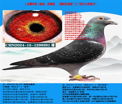 ������ר�ң����ϡ���³�񳬼������ָ�