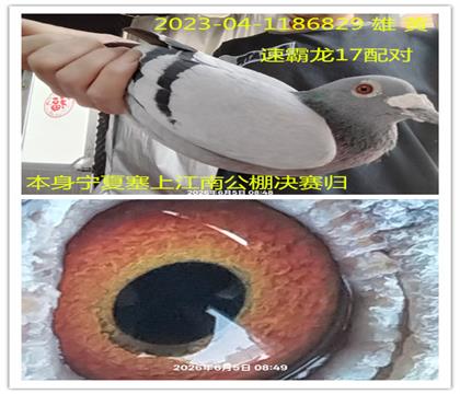 �ٰ���17����������Ͻ��Ͼ�����
