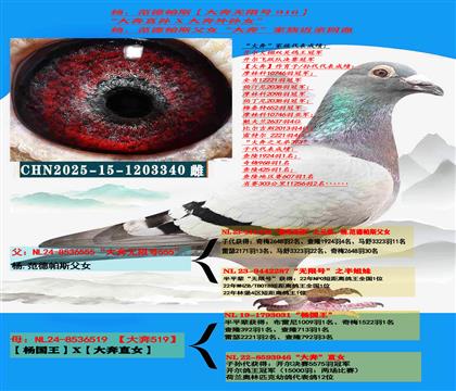 ���ص��Ƽ� ���������������˹����ֱ�X��������Ů��