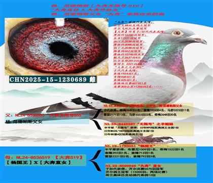 ���ص��Ƽ� ���������������˹����ֱ�X��������Ů��