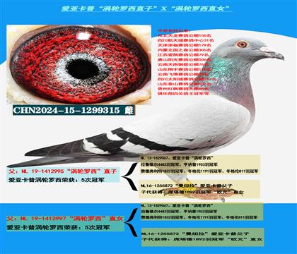���ص��Ƽ������ǿ��ա���������ֱ�ӡ�X����������ֱŮ��