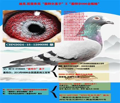 �Ͽ� ���ǲ��ˡ����ض���ֱ��X�����ض�006��ȫ����