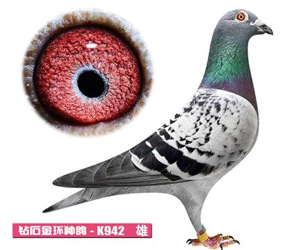 利奥-奥林匹克K942