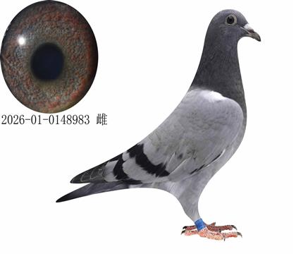 �����˹ά�������ٲ��������23��ֱŮ