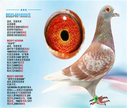 迪克.范登布克原舍 本身成绩1725羽8位