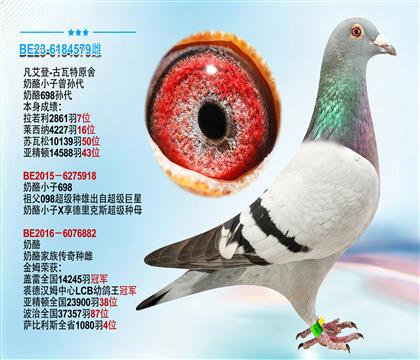 凡艾登-古瓦特原舍“奶酪小子曾孙代