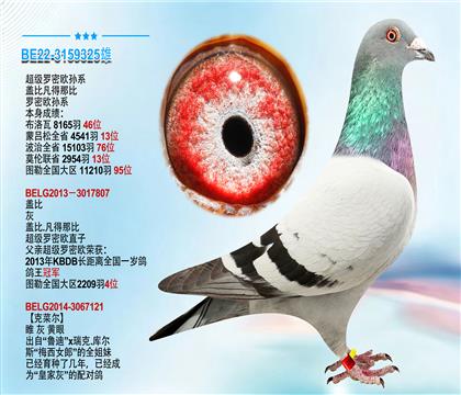 盖比”超级罗密欧孙系“ 本身成绩4541羽13位