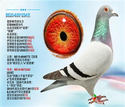 葛斯顿范德瓦尔“奶酪690曾孙代”