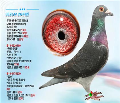 乔斯·佛卡门原舍作出 本身成绩3071羽亚军
