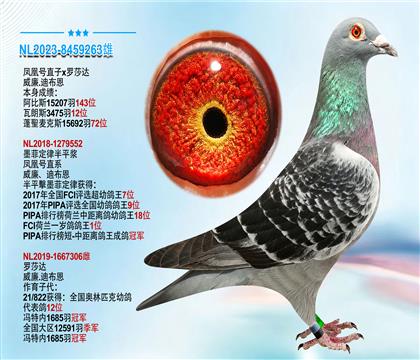 威廉.迪布恩原舍”凤凰号直子X罗莎达“作育