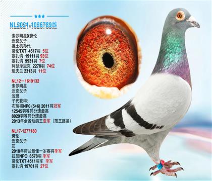 沃克父子 “索罗明星X劳伦” 推土机孙代