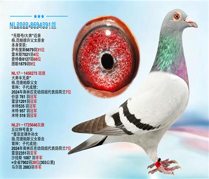 杨.范帕德许父女原舍”无限号 大奔“近亲