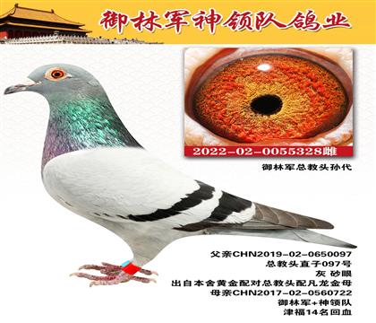 御林军神领队鸽业“御林军总教头孙代”