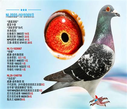 爱亚卡普原舍”涡轮罗西“孙代 本身成绩3803羽14名