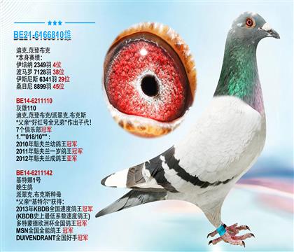 迪克.范登布克原舍 本身成绩2349羽4位